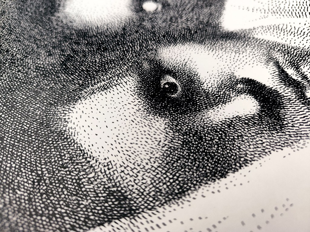 Closeup photo of Black-and-white ink horror illustration of a face with a shadowy second face behind it, wide open eye (“Sleep paralys”).
